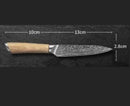 Damascus Steel Kitchen Chef Knife